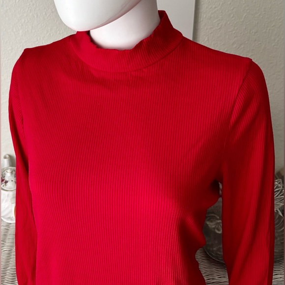 ModCloth Ribbed Knit Modest Dress Mock Neck Long Sleeves in Red color Size 2X - Picture 4 of 8